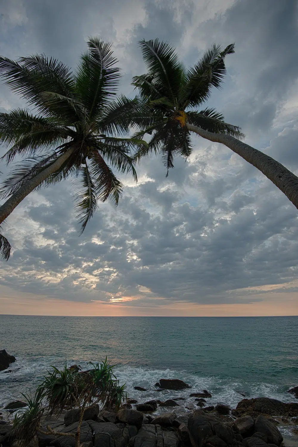 Palm-fringed Sri Lanka beach and coastal scenery for Sri Lanka private day tour with Trustker