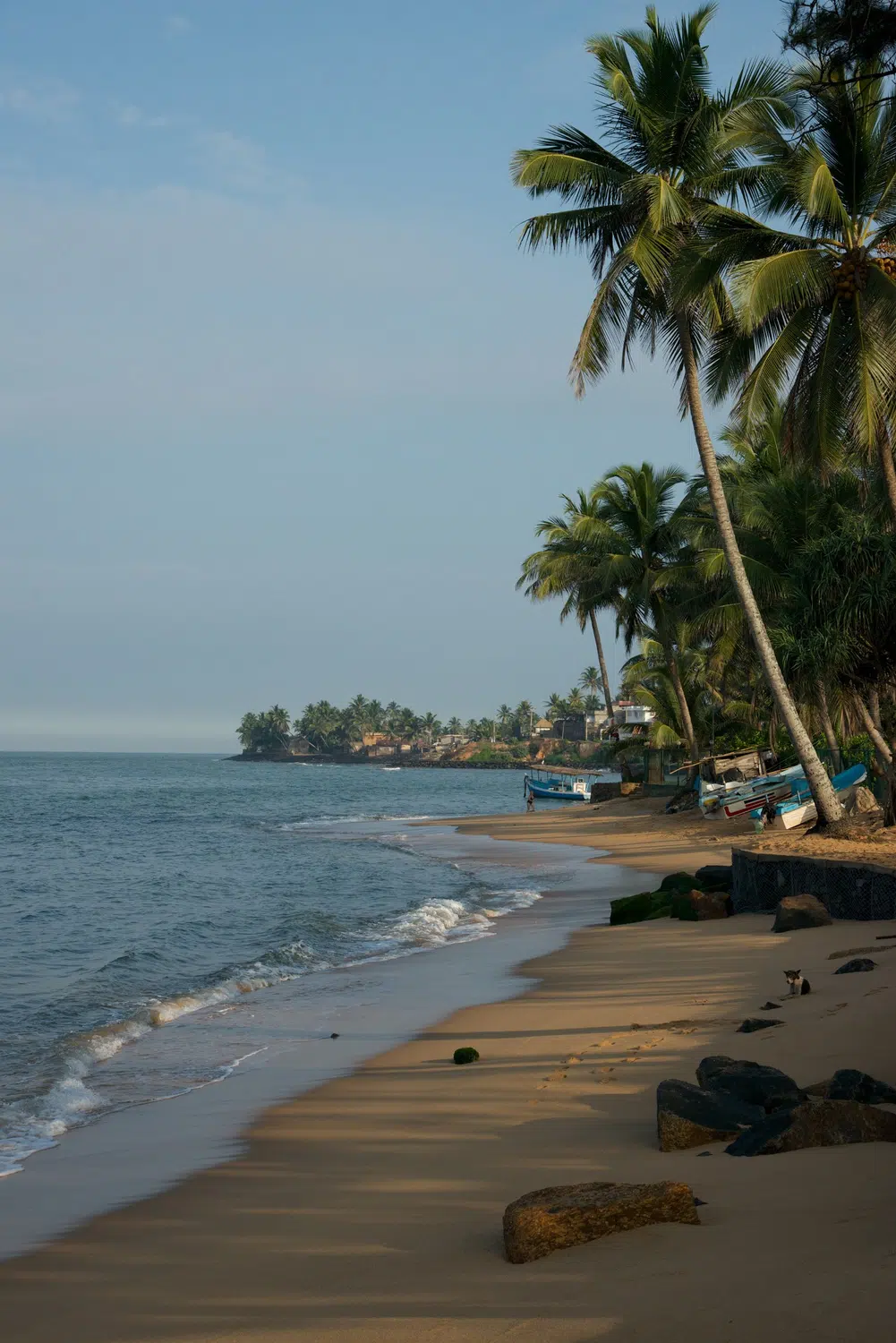 Palm-fringed Sri Lanka beach and coastal scenery for Sri Lanka private day tour with Trustker