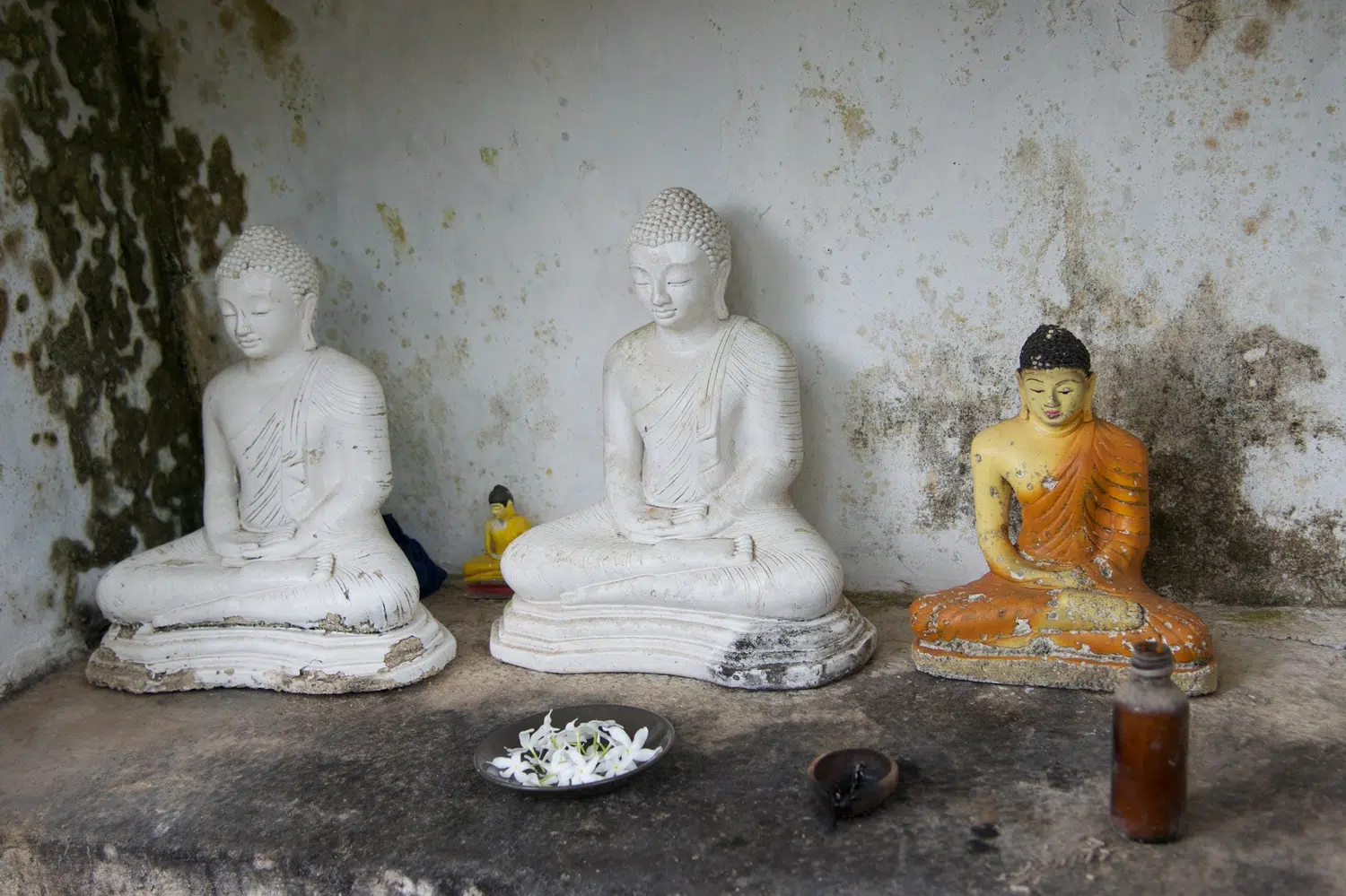 Buddhist statues, shrines and temple details for Sri Lanka private day tour with Trustker