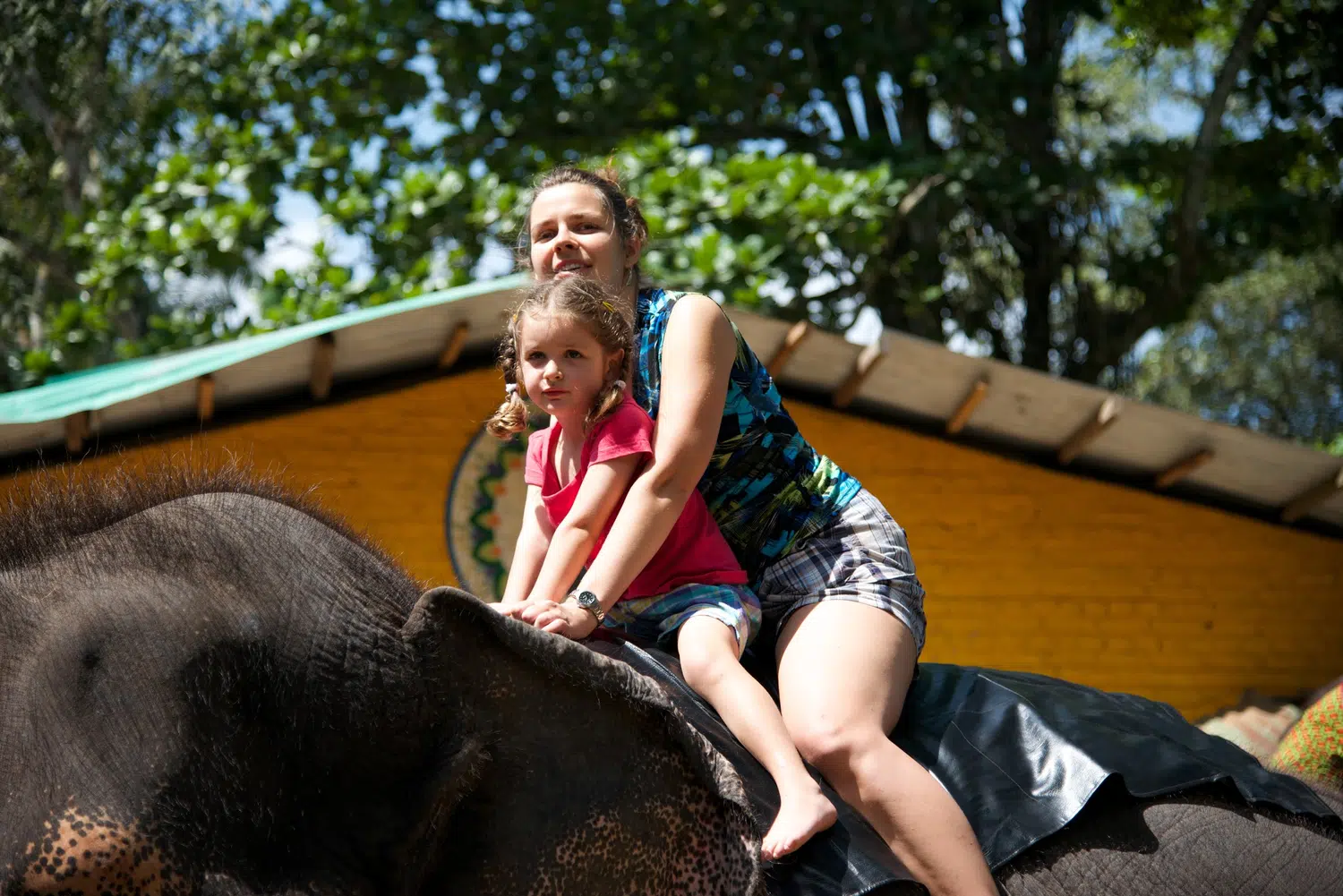 Elephants bathing and elephant encounter activities for Sri Lanka private day tour with Trustker