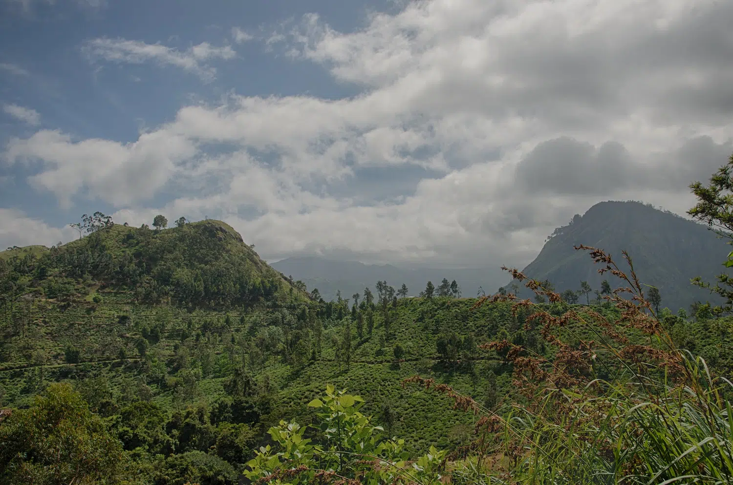 Hill country scenery, misty mountains, flowers and waterfalls for Sri Lanka private day tour with Trustker