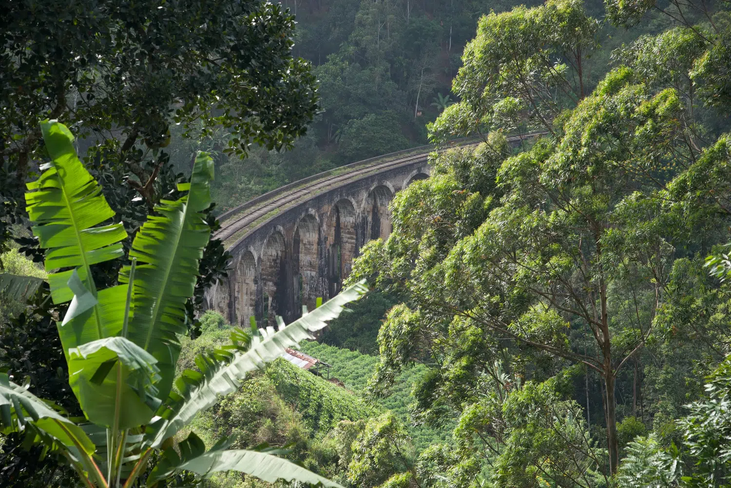 Hill country scenery, misty mountains, flowers and waterfalls for Sri Lanka private day tour with Trustker