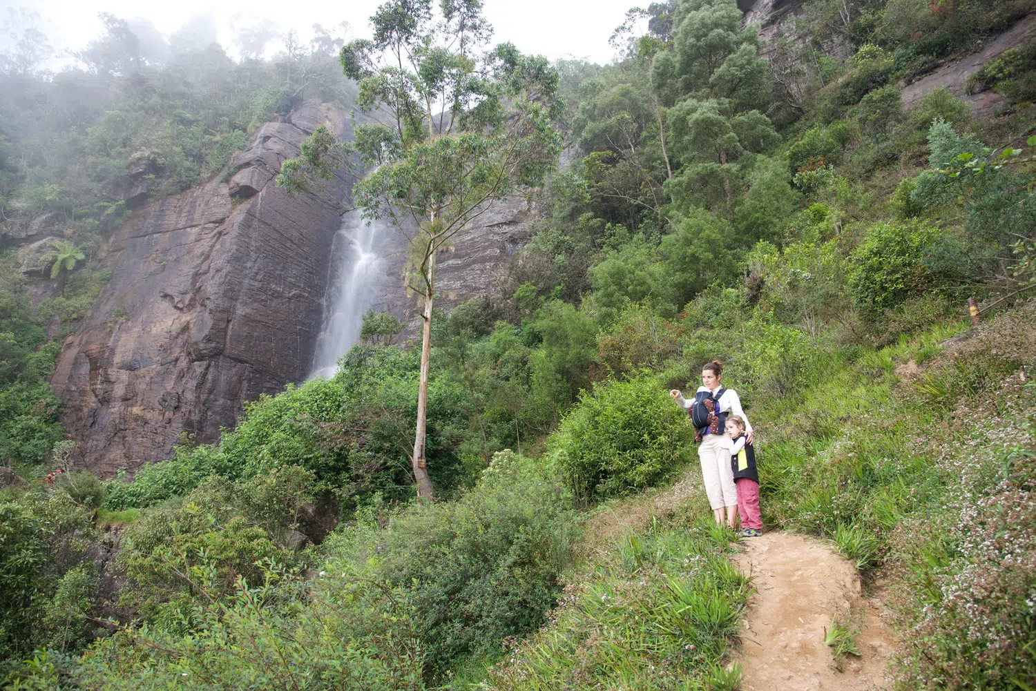 Hill country scenery, misty mountains, flowers and waterfalls for Sri Lanka private day tour with Trustker
