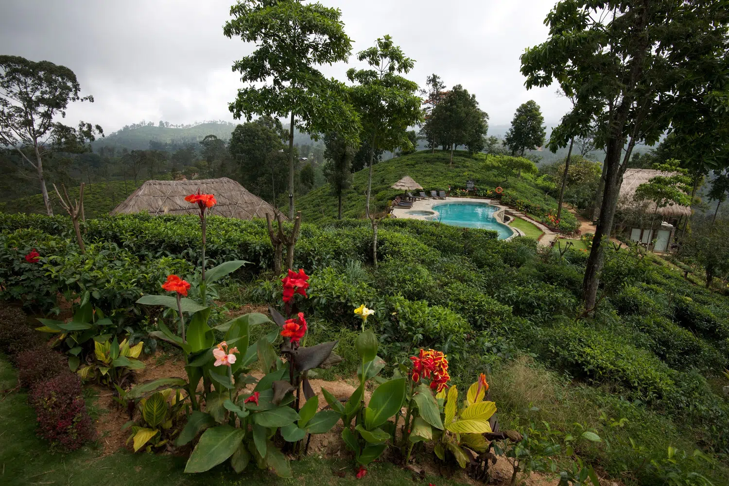 Hill country scenery, misty mountains, flowers and waterfalls for Sri Lanka private day tour with Trustker