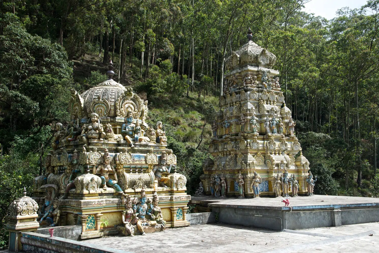 Hill country scenery, misty mountains, flowers and waterfalls for Sri Lanka private day tour with Trustker