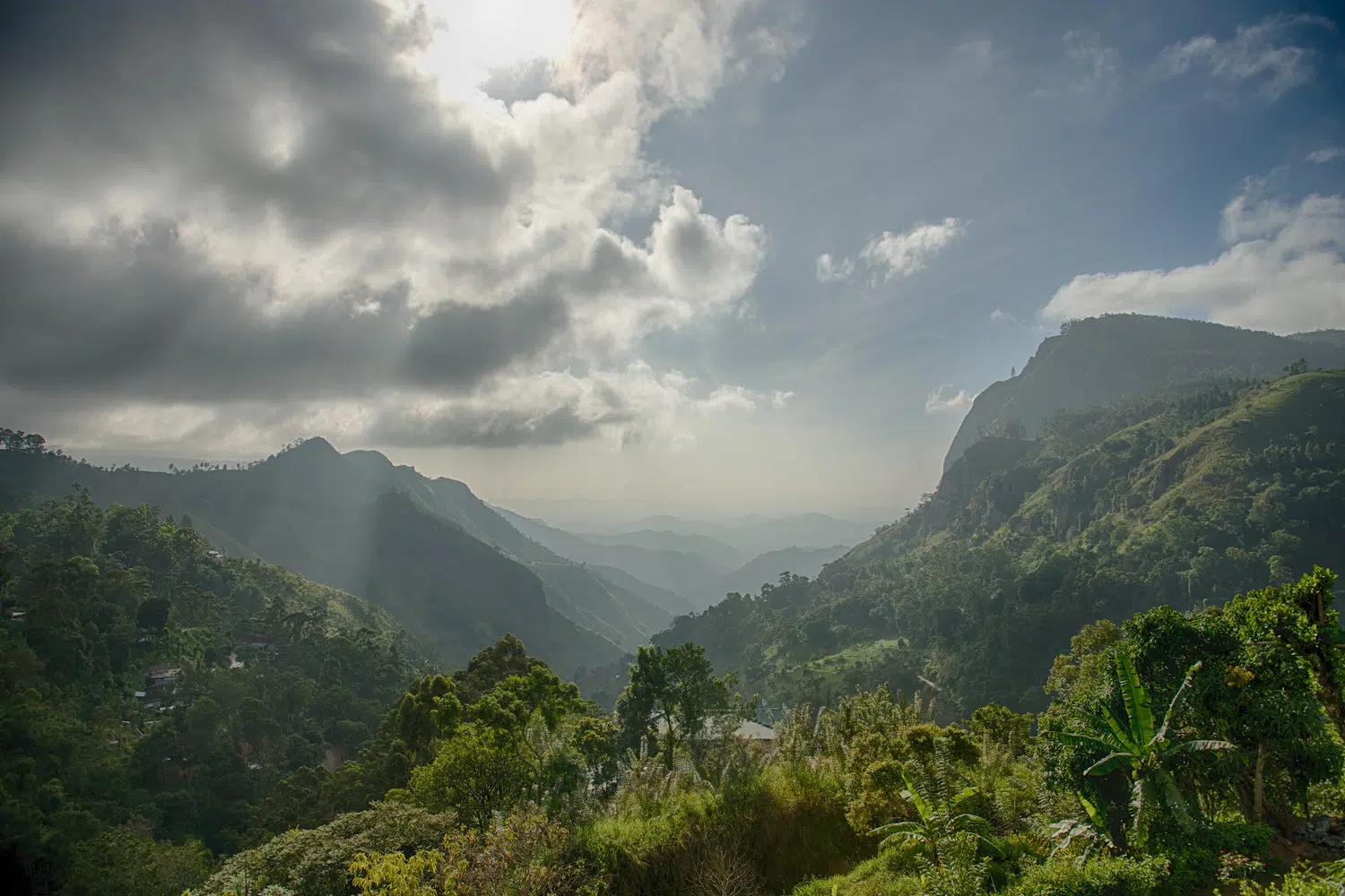 Hill country scenery, misty mountains, flowers and waterfalls for Sri Lanka private day tour with Trustker