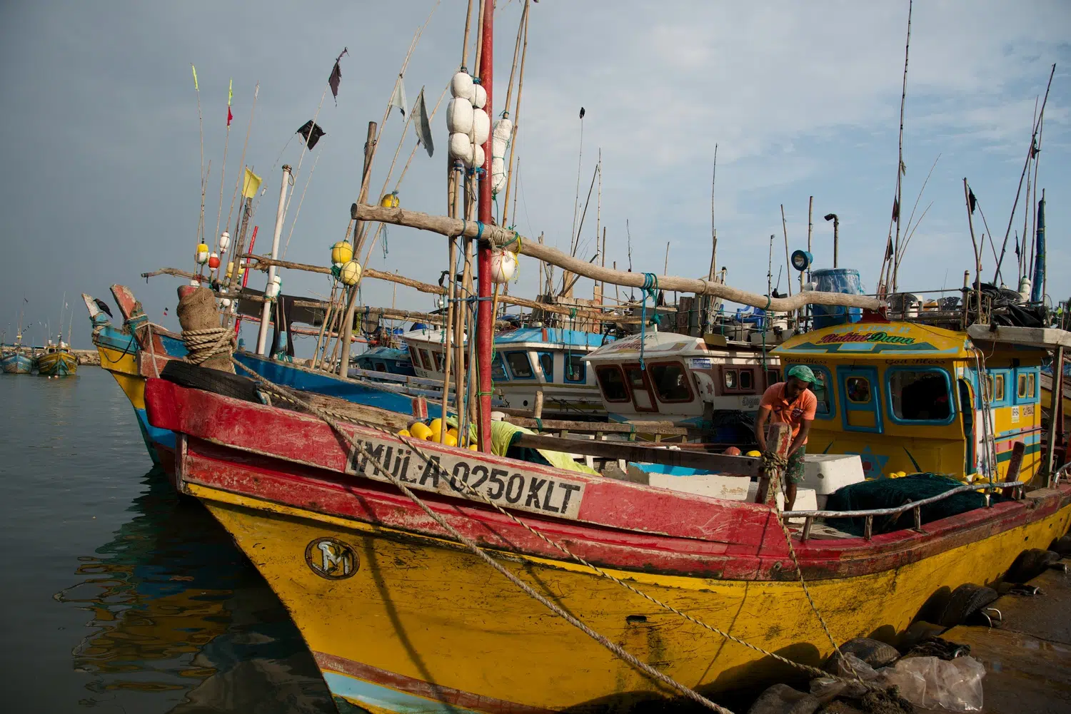 Fishing boats, fish markets and coastal working life for Sri Lanka private day tour with Trustker