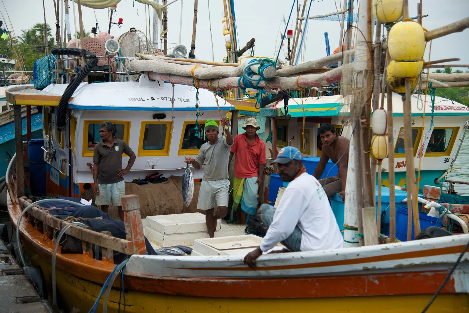 Fishing boats, fish markets and coastal working life for Sri Lanka private day tour with Trustker