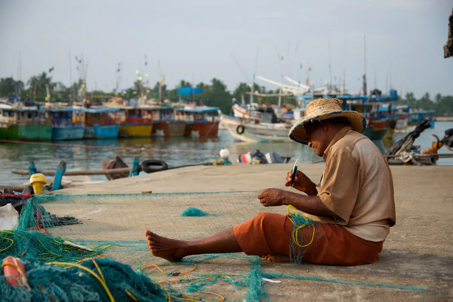 Fishing boats, fish markets and coastal working life for Sri Lanka private day tour with Trustker