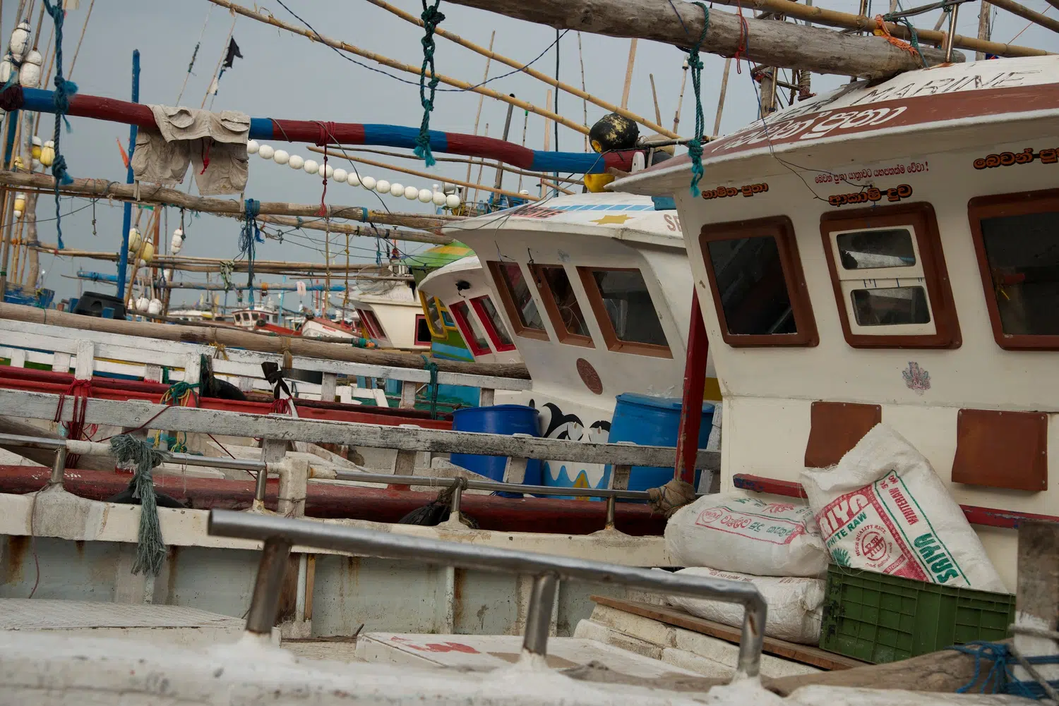 Fishing boats, fish markets and coastal working life for Sri Lanka private day tour with Trustker