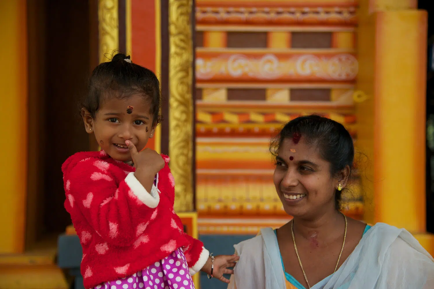 Kandy area temples, musicians, landscapes and sacred sites for Sri Lanka private day tour with Trustker