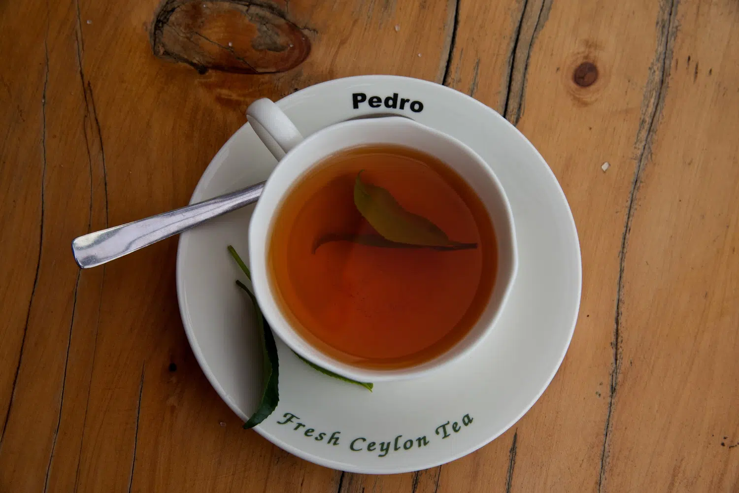 Sri Lanka tea plantations and tea workers for Beach Wellness Escape